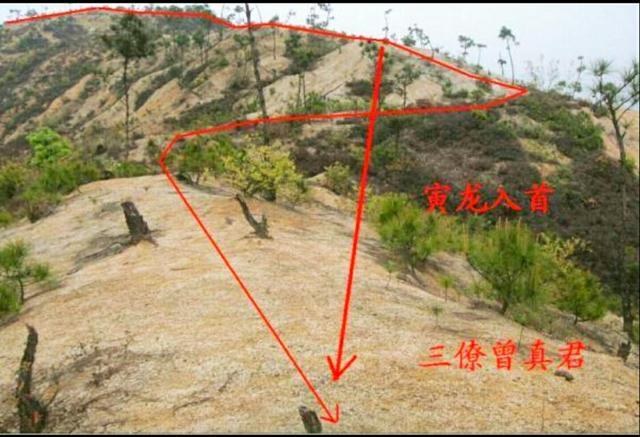 “龙入首”与“入首龙”之区别?