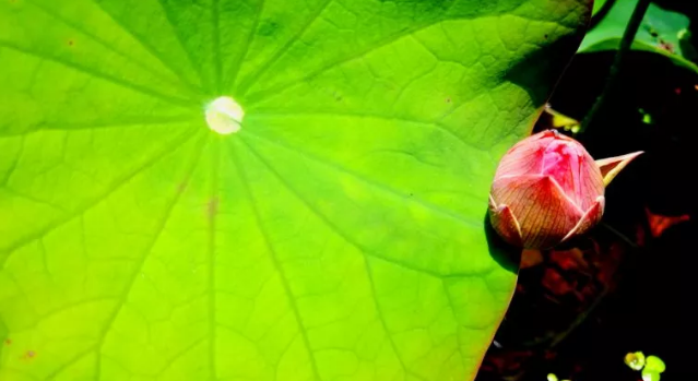 1595512579672255.png 1.png