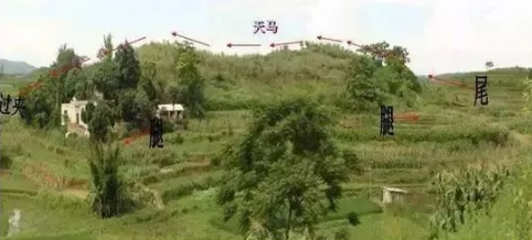 1602084531181500.png 1.png