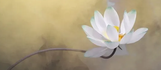 1621637669539333.png 2.png