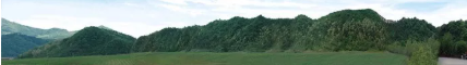 1624577663155060.png 3.png