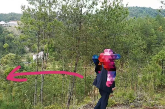 1625309365771137.png 7.png