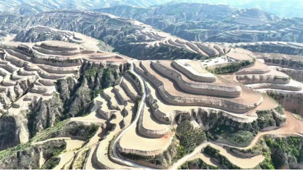 1769669921425519.png QQ20260129-145838.png