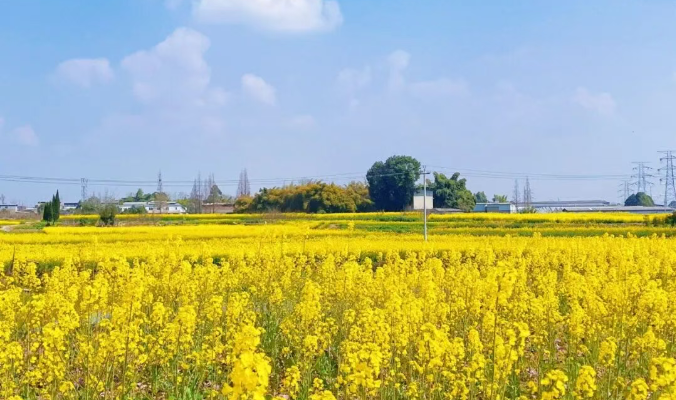 1773535361914022.png 2.png