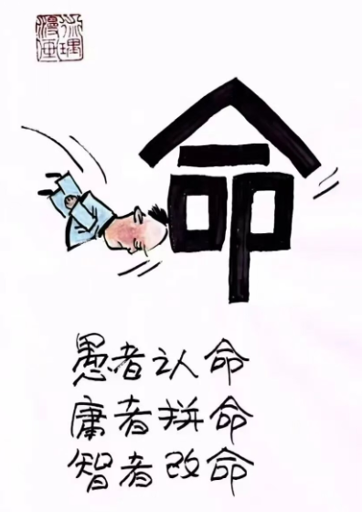 8.png